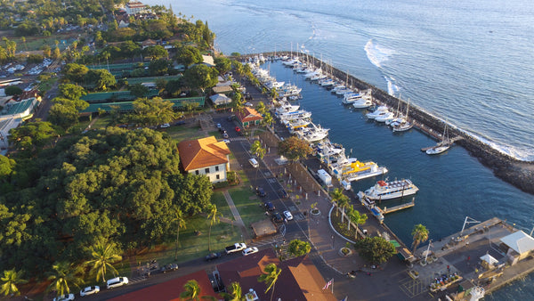 Elevate Your Visuals: ABOVE MAUI's Drone Photography & Videography Packages