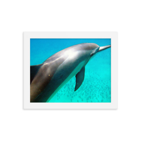 "SPINNER" Framed photo paper poster