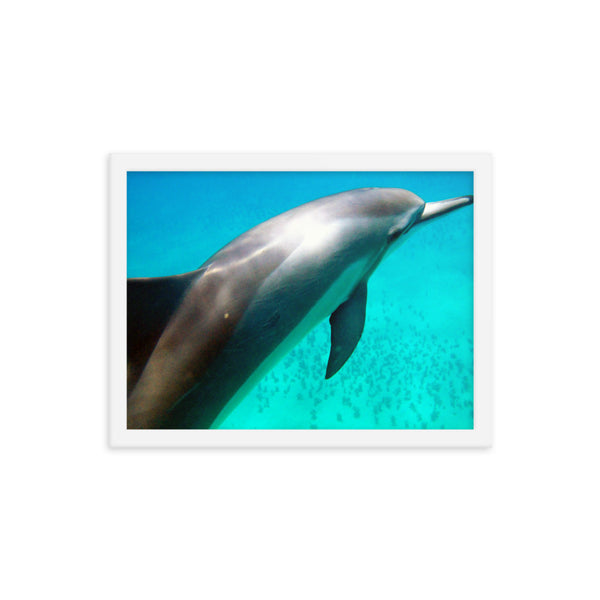 "SPINNER" Framed photo paper poster