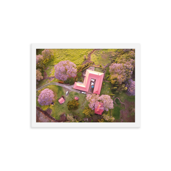 UPCOUNTRY BLOOM Framed photo poster