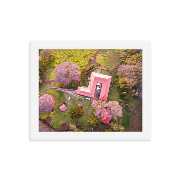 UPCOUNTRY BLOOM Framed photo poster